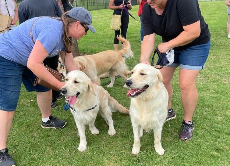 Chisel's 2nd Family Reunion Macarthur Veterinary Group