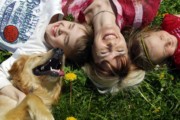 Macarthur Vet Holidaying with Your Pet 1