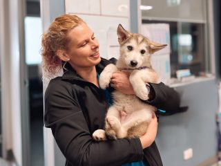 Macarthur Vet Puppy Preschool 8