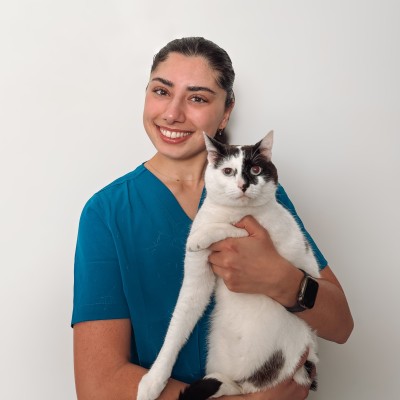 Macarthur Vet Rebecca 1 Bec C
