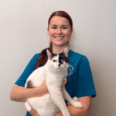 Macarthur Vet Hayley 1 Hayley