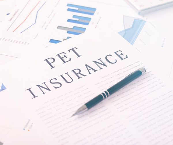 Pet Insurance forms

