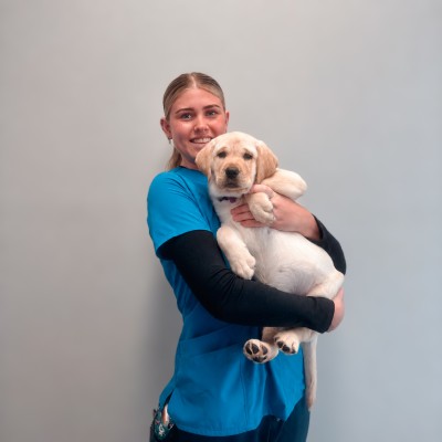 Macarthur Vet Emily Tait 1 Emily