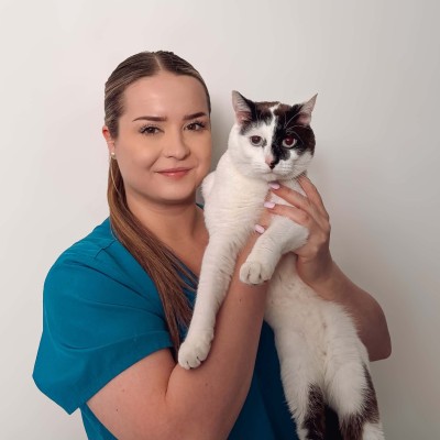 Macarthur Vet Emelia 1 Emelia