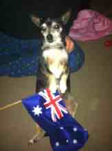 Macarthur Vet McWilliam Family & Miss Freda 1