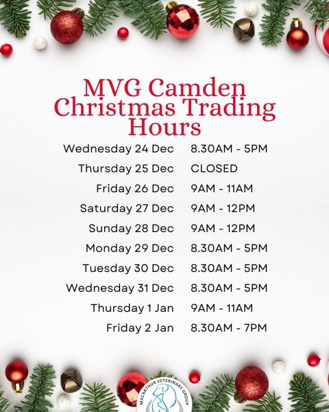 Macarthur Vet MVG 2025 Christmas and New Year Opening Hours 1 Macarthur Vet MVG 2025 Christmas and New Year Opening Hours 1