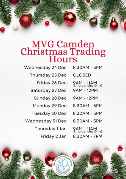 Macarthur Vet MVG 2025 Christmas and New Year Opening Hours 1 Macarthur Vet MVG 2025 Christmas and New Year Opening Hours 1